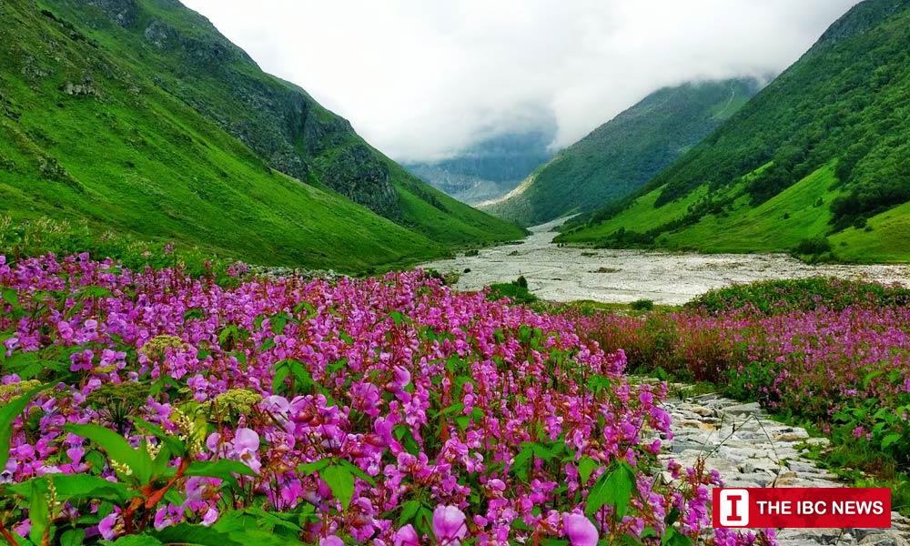 Valley of Flowers, Uttarakhand