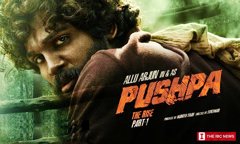 Allu Arjun's Pushpa the rise