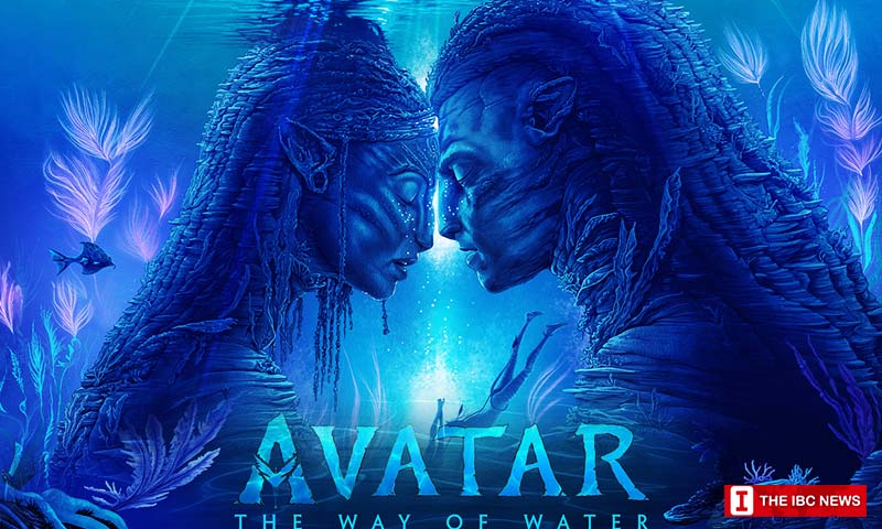 Avatar collections